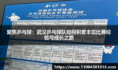 聚焦乒乓球：武汉乒乓球队如何积累丰富比赛经验与成长之路