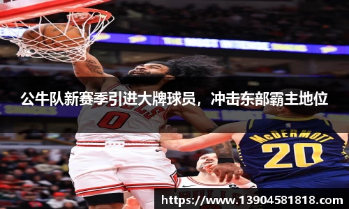公牛队新赛季引进大牌球员，冲击东部霸主地位