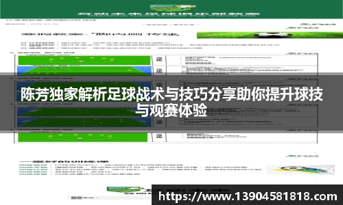 陈芳独家解析足球战术与技巧分享助你提升球技与观赛体验